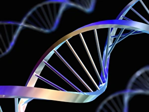 ADN Impressions: Molécules d'ADN
