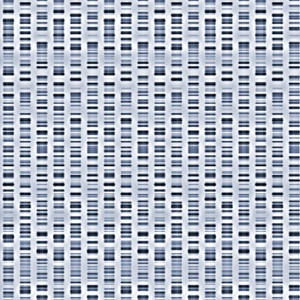Genetic Code Explanation Impressions: DNA sequences