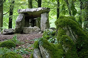 Impressions de Le dolmen du projet de Craggaunowen dans le comté de Clare, Irlande. Un dolmen, également connu sous le nom de tombeau portail, est un tumulus monochambre megalithique Mégalithique Impressions: Dolmen
