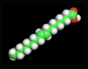 Heart Disease Risk Factors Impressions: Elaidic acid, computer model