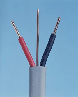 Impressions de Câble électrique. Côté tranché d'un câble à deux fils et terre électriques. Les conducteurs neutre (noir) et live (rouge) sont isolés individuellement. La filière de la terre n'est pas isolée Images datées de 2004 juillet: Câble électrique