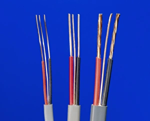 Impressions de Electrical cables. Each cable is composed of a live, neutral and earth wire, insulated within rubber sheaths. The wires are made from copper, which is an excellent conductor Images datées de 2009 mars: Les câbles électriques