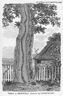 Impressions de Une gravure représentant un arbre qui s'était divisé après avoir été frappé par le tonnerre à Hanwell, dans l'ouest de Londres Images datées de 2010 novembre: Gravure d'un arbre fracturé par un éclair