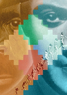 Human Evolution Impressions: Evolution