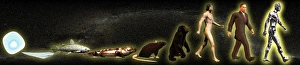 Human Evolution Timeline Impressions: Evolution of man