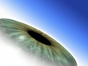 Iris Anatomy Impressions: Eye, computer artwork