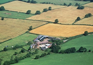 Harvested Fields Impressions: Fields