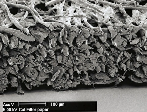 Scanning Electron Microscopy Images Impressions: Filter paper, SEM