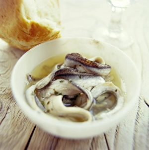 Healthy Protein Sources Impressions: Fish and bread meal