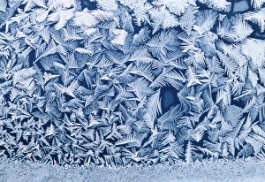 Cold Weather Photography Impressions: Frost on window