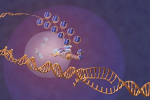 Chromosome Structure Impressions: Gene expression, artwork