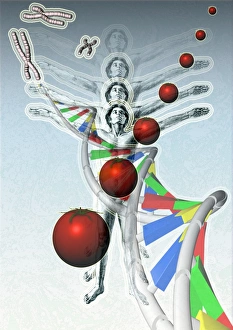 Deoxyribonucleic Acid Structure Impressions: Genetic modification
