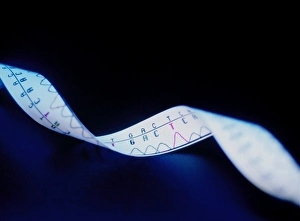 Genetic Information Storage Impressions: Genetic sequence