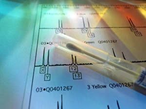 Deoxyribonucleic Acid Impressions: Genetic testing
