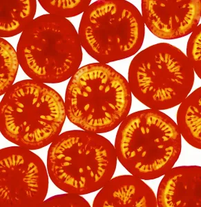 Graphiques Et Motifs Impressions: Tranches de tomate