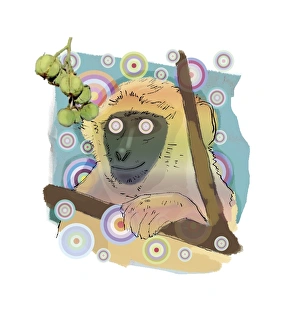 Euphorbiaceae Family Impressions: Hallucinating monkey, artwork