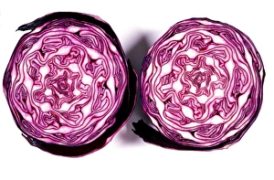 Images datées du 21 décembre 2005: Cabbage rouge équilibré