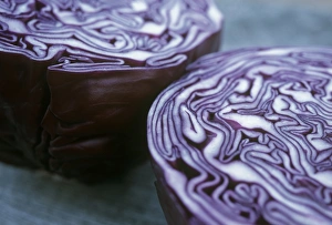 Brassica Oleracea Impressions: Halved red cabbage