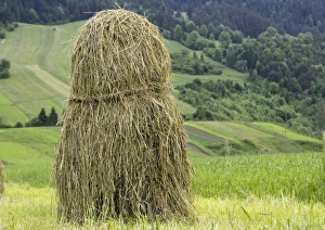 Tatra Mountains Landscape Impressions: Hay stack
