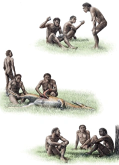 Impressions de Le comportement de l'Homo érgastère est une impression artistique. L'Homme érgastère est traditionnellement considéré comme un type ancien d'Homme erectus par les scientifiques Images datées de 2006 juin: Comportement de Homo erectus