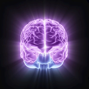 Brain Computer Artwork Impressions: Human brain, computer artwork