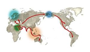 Impressions de La migration humaine. L'œuvre d'art représentant l'histoire mondiale de la migration humaine. Les modernes émergent à 200 000 ans près en Afrique (gauche centre) Images datées de 2013 février: Migration humaine, art
