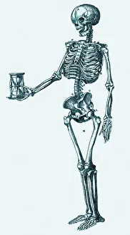 Images datées de 2004: Human skeleton