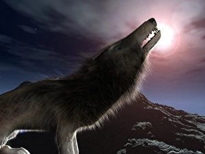 Prehistoric Mammal Impressions: Hyaenodon