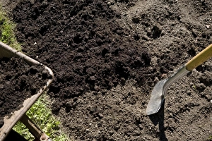 Organic Gardening Tips Impressions: Improving soil structure
