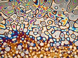 Impressions de Modèle d'interférence de la lumière microscopique sur un film de savon. Les différentes couleurs proviennent des interférences du reflet des ondes luminaires Images datées de 2010 avril: Modèle d'interférence