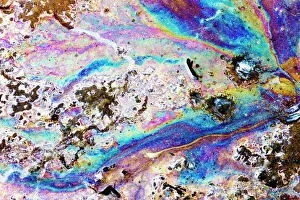 Impressions de Le modèle d'interférence des couleurs causé par la lumière réfléchie sur un mince film de huile en suspension dans l'eau Images datées de 2009 janvier: Modèle d'interférence de l'huile sur l'eau