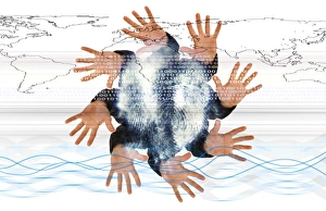 Secure Online Communication Impressions: Internet security