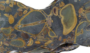 Mineral Specimen Photography Impressions: Jasper