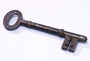 Entomology Images Impressions: Key