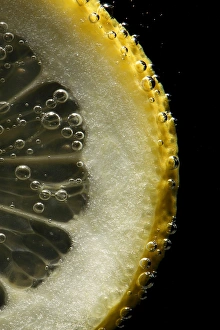 Lemon Slice Impressions: Lemon slice