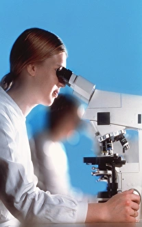 Science Laboratory Equipment Impressions: Light microscopy