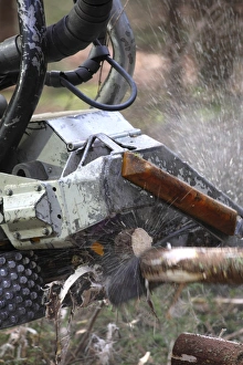 Logging Industry Impressions: Logging machine