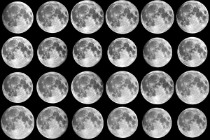Impressions de La séquence de libération lunaire. Séquence des vingt-quatre images pleines lunaires prises chaque mois sur une période de deux ans Images datées de 2010 janvier: La séquence de librations lunaires