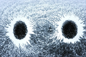 Magnetized Iron Filings Impressions: Magnetic field pattern