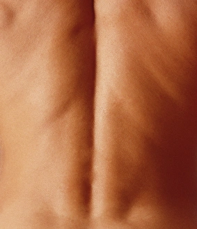 Male Anatomy Impressions: Mans back