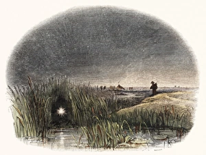 Impressions de Lumière de marais, œuvre d'art historique Images datées de 2005 août: Lumières de marais