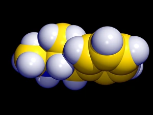 Impressions de La molécule de méthamphétamine. Représentation graphique informatisée du médicament méthamphétamine (formule C10.H15.N), dérivé plus rapide et d'action prolongée de l'amphetamine Images datées de 2002 septembre: La molécule de méthamphétamine
