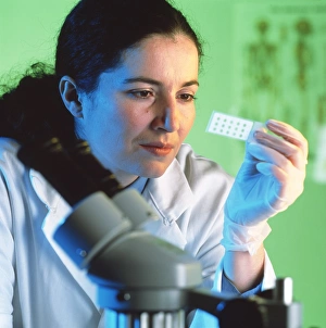 Scientific Research Equipment Impressions: Microscope sample