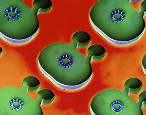 Coloured Scanning Electron Microscopy Impressions: Miniature engine, SEM