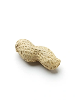 Edible Nuts Impressions: Monkey nut