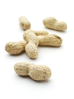 Exotic Fruit Images Impressions: Monkey nuts