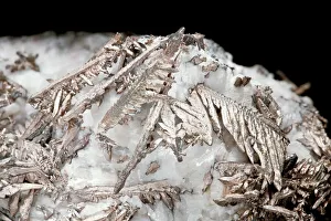 Images datées de 2013: Argent naturel