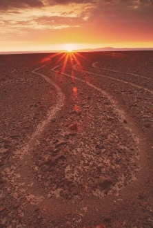 Impressions de Les lignes de Nasca représentant une partie du pied d'une araignée vues depuis le sol à l'aube. Il y a des centaines de géoglyphes, ou dessins sur les paysages, dans la désert côtier au sud du Pérou Images datées de 2001 mars: Les lignes de Nazca