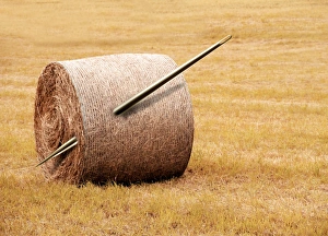 Conceptual Computer Artwork Impressions: Needle in a haystack, conceptual artwork