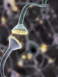 Neuron Communication Impressions: Nerve synapse, artwork